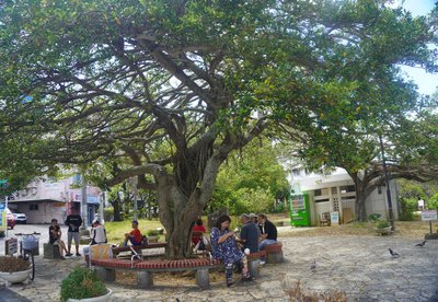 🌳 마키시 공원 (마키시코엔)